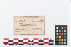 Etikett zu Bronzedrahtarmring (NHMW-PRAE-003438)